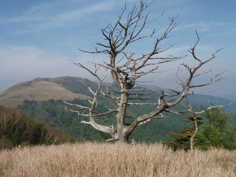 20110604